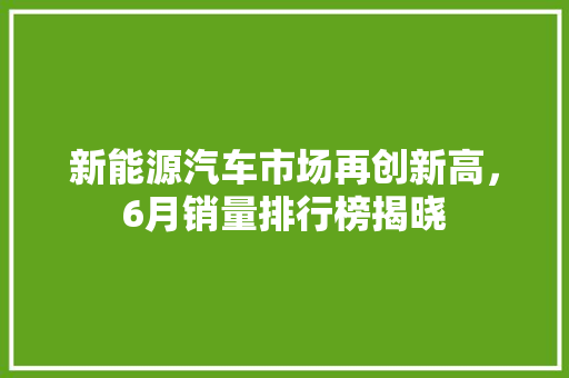 新能源汽车市场再创新高，6月销量排行榜揭晓