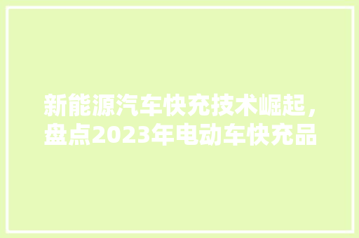 新能源汽车快充技术崛起，盘点2023年电动车快充品牌排行榜