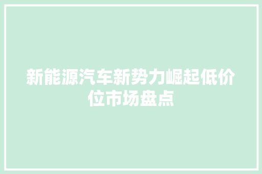 新能源汽车新势力崛起低价位市场盘点