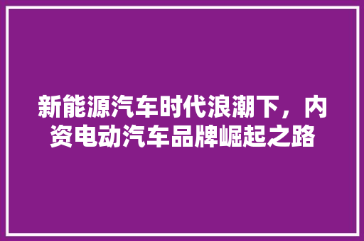 新能源汽车时代浪潮下，内资电动汽车品牌崛起之路