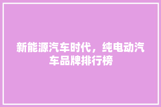 新能源汽车时代，纯电动汽车品牌排行榜