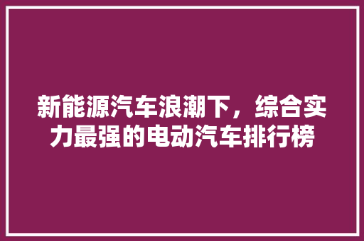 新能源汽车浪潮下，综合实力最强的电动汽车排行榜