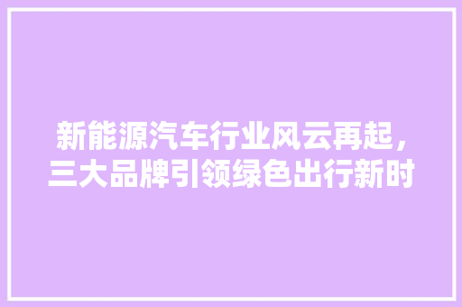 新能源汽车行业风云再起，三大品牌引领绿色出行新时代