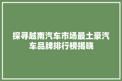 探寻越南汽车市场最土豪汽车品牌排行榜揭晓 智能驾驶