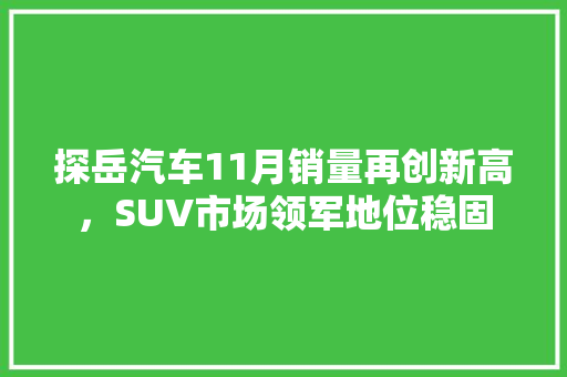 探岳汽车11月销量再创新高，SUV市场领军地位稳固