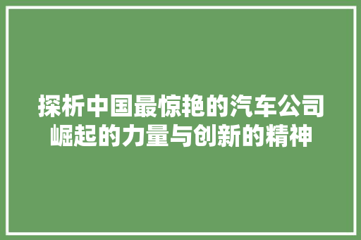 探析中国最惊艳的汽车公司崛起的力量与创新的精神