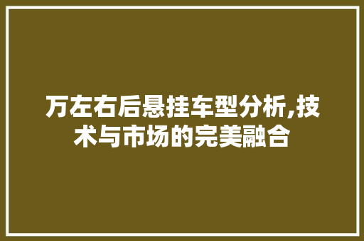 万左右后悬挂车型分析,技术与市场的完美融合