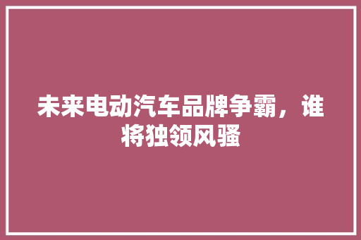 未来电动汽车品牌争霸，谁将独领风骚