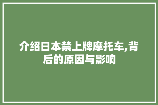 介绍日本禁上牌摩托车,背后的原因与影响