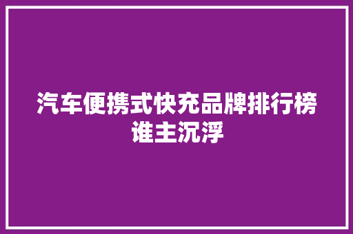 汽车便携式快充品牌排行榜谁主沉浮
