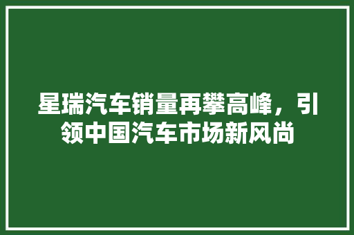星瑞汽车销量再攀高峰，引领中国汽车市场新风尚