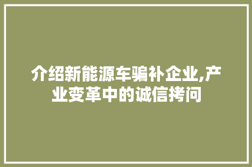 介绍新能源车骗补企业,产业变革中的诚信拷问 新能源汽车