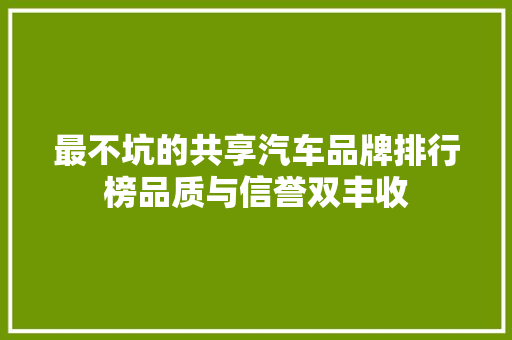 最不坑的共享汽车品牌排行榜品质与信誉双丰收