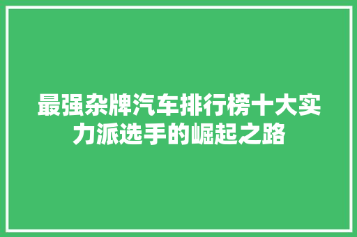 最强杂牌汽车排行榜十大实力派选手的崛起之路