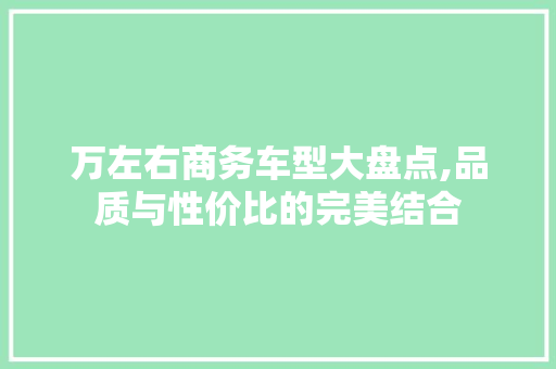 万左右商务车型大盘点,品质与性价比的完美结合