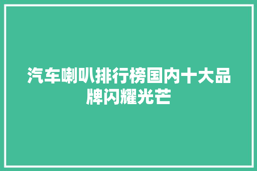 汽车喇叭排行榜国内十大品牌闪耀光芒