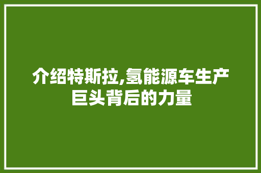 介绍特斯拉,氢能源车生产巨头背后的力量 车载导航