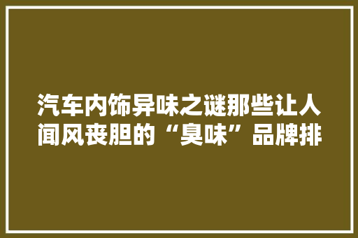 汽车内饰异味之谜那些让人闻风丧胆的“臭味”品牌排行榜