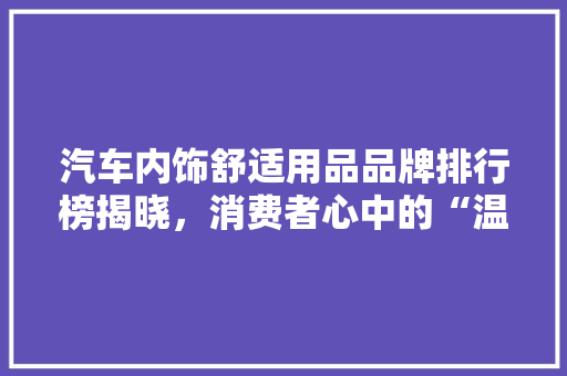 汽车内饰舒适用品品牌排行榜揭晓，消费者心中的“温馨之家”