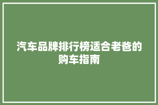 汽车品牌排行榜适合老爸的购车指南