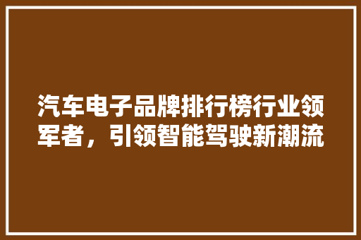 汽车电子品牌排行榜行业领军者，引领智能驾驶新潮流