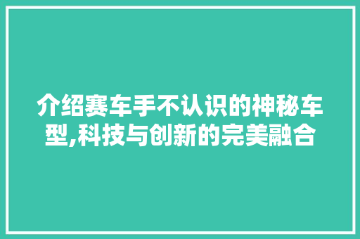 介绍赛车手不认识的神秘车型,科技与创新的完美融合