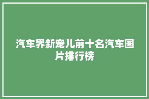 汽车界新宠儿前十名汽车图片排行榜
