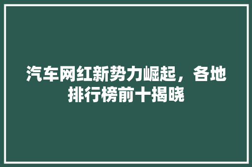 汽车网红新势力崛起，各地排行榜前十揭晓 智能驾驶