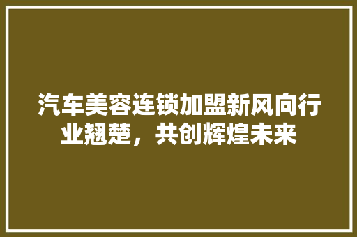 汽车美容连锁加盟新风向行业翘楚，共创辉煌未来