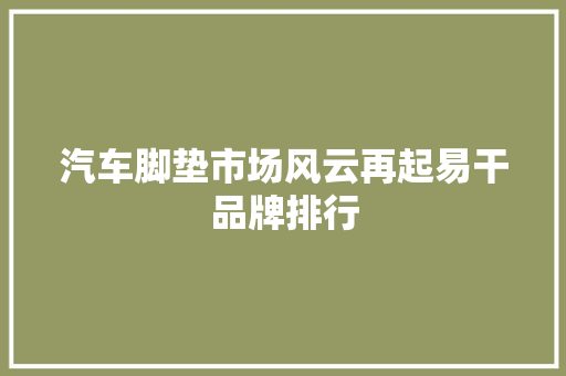 汽车脚垫市场风云再起易干品牌排行