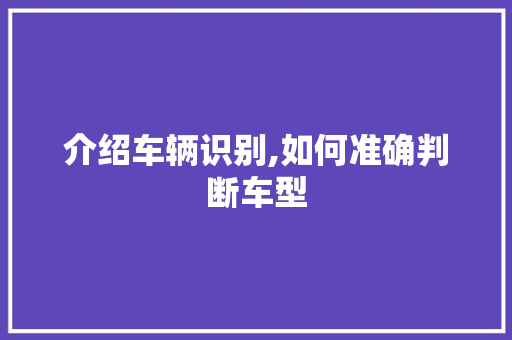 介绍车辆识别,如何准确判断车型