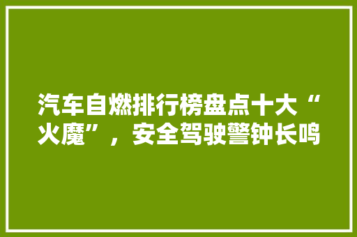 汽车自燃排行榜盘点十大“火魔”，安全驾驶警钟长鸣