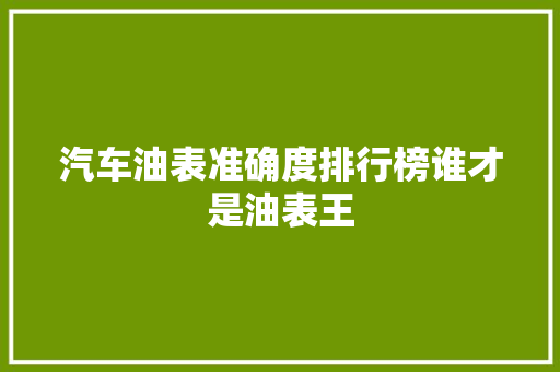 汽车油表准确度排行榜谁才是油表王