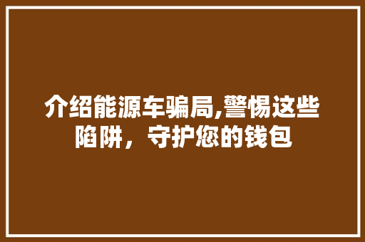 介绍能源车骗局,警惕这些陷阱，守护您的钱包 车型评测
