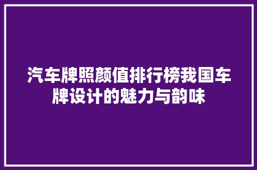 汽车牌照颜值排行榜我国车牌设计的魅力与韵味